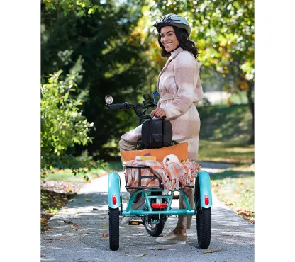Soon to be sold out!! Last Day For Clearance TK1 Electric Trike with 500W_Motor & 20MPH Speed w/ Accessories