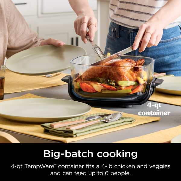 Ninthtja Cristhtpi 4-in-1 Portable Glass Air Fryer Cooking System Sage