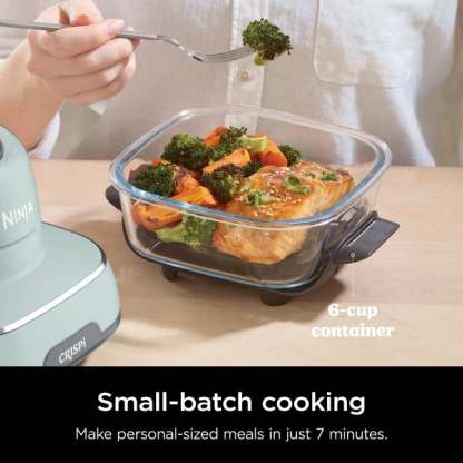 Ninthtja Cristhtpi 4-in-1 Portable Glass Air Fryer Cooking System Sage