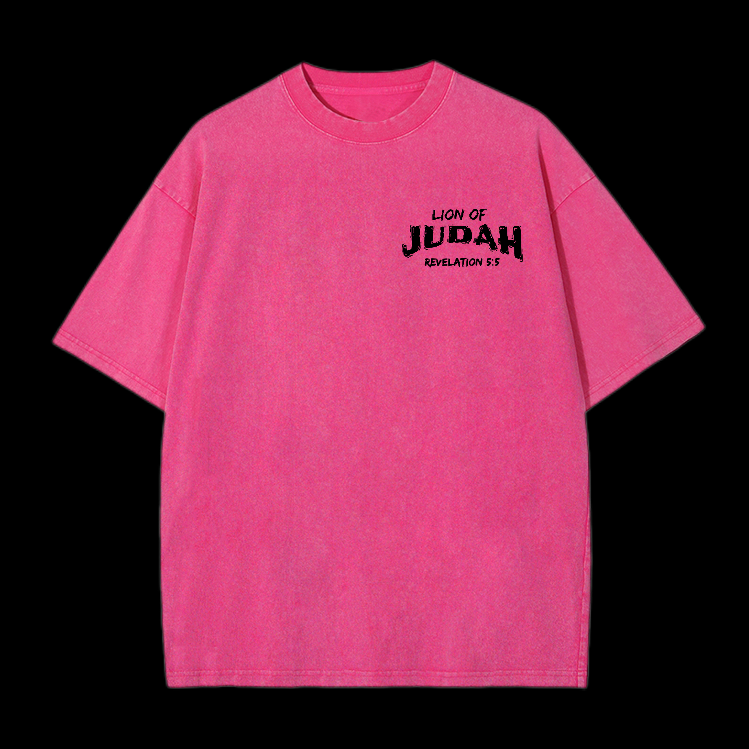 Lion Of Judah Washed T-Shirt