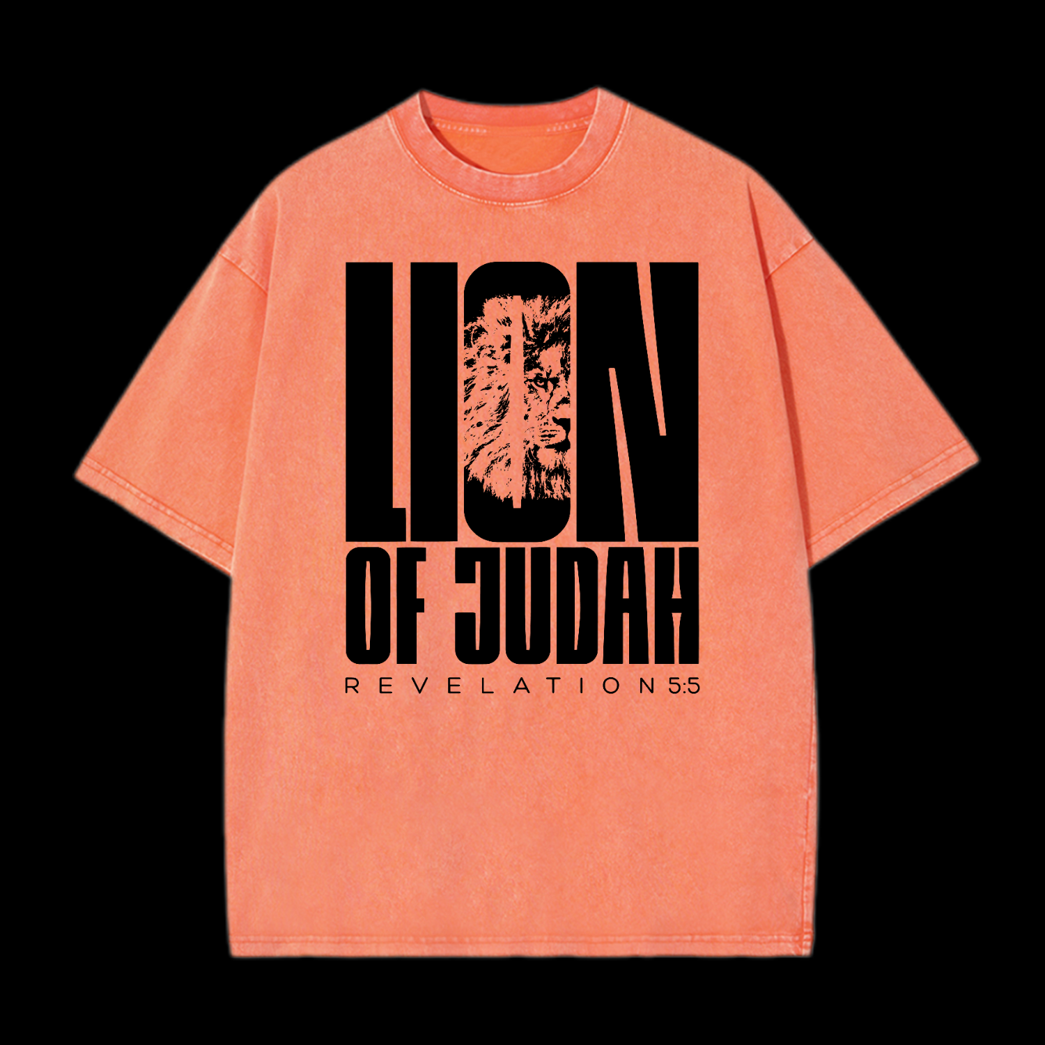 Lion Of Judah Washed T-Shirt