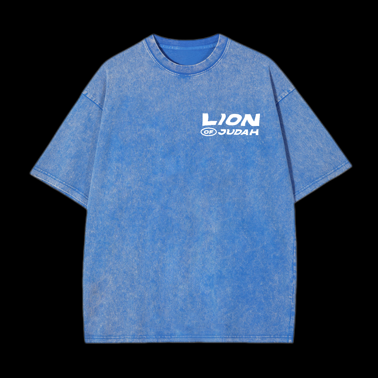 Lion Of Judah Washed T-Shirt