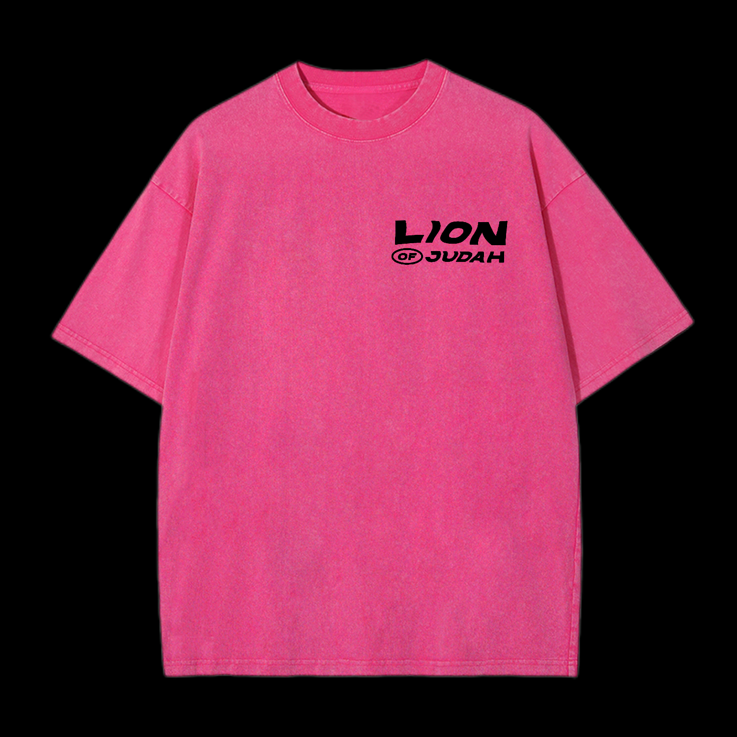 Lion Of Judah Washed T-Shirt