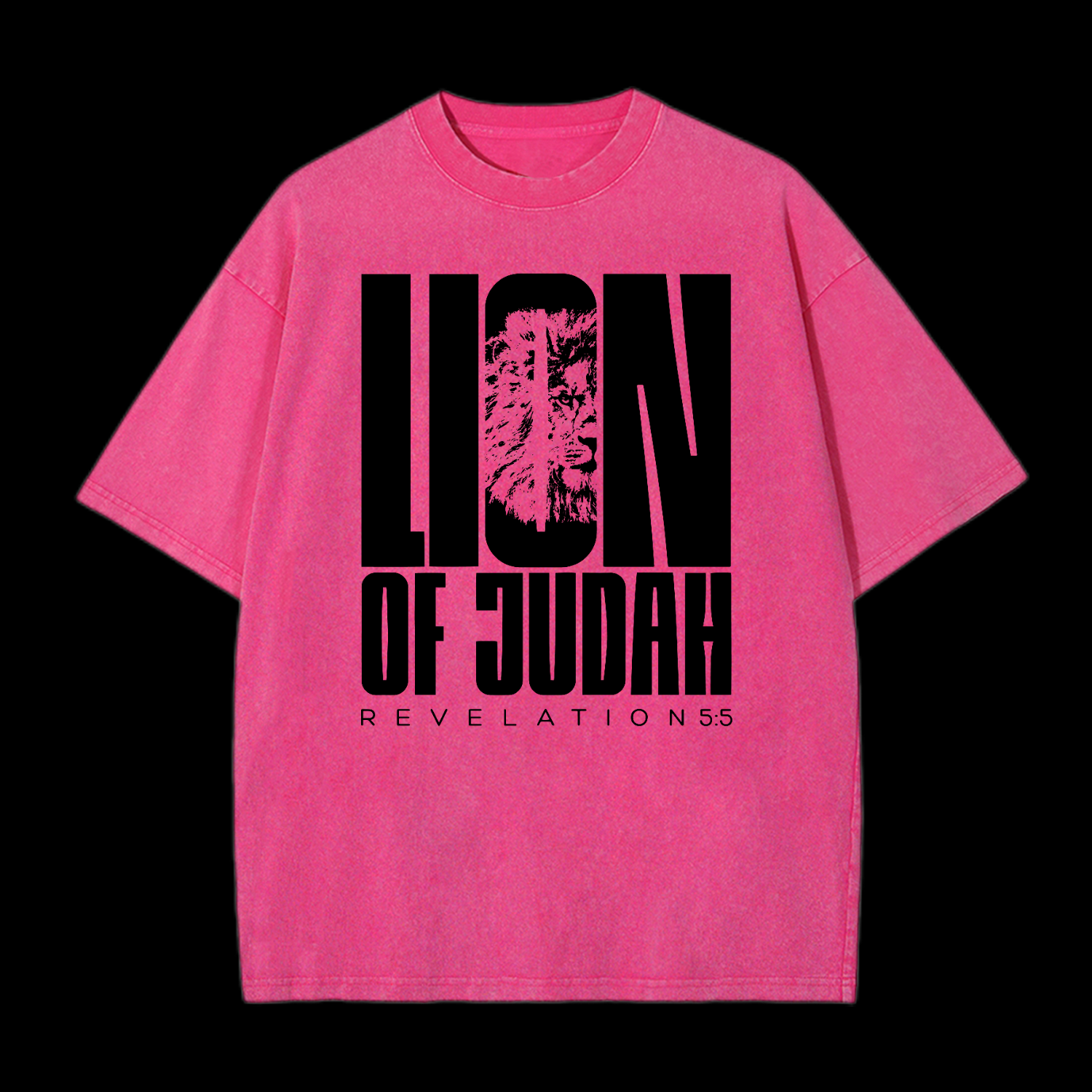 Lion Of Judah Washed T-Shirt
