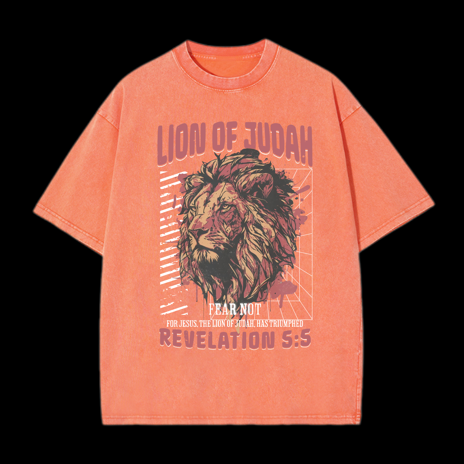 Lion Of Judah Washed T-Shirt