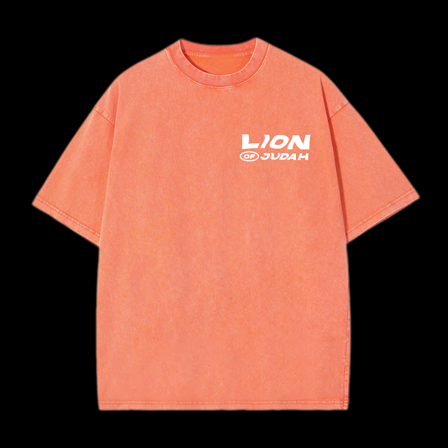Lion Of Judah Washed T-Shirt