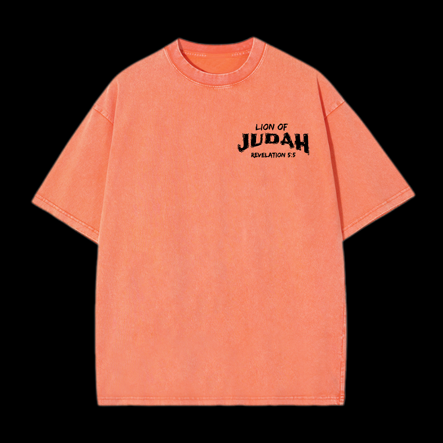 Lion Of Judah Washed T-Shirt