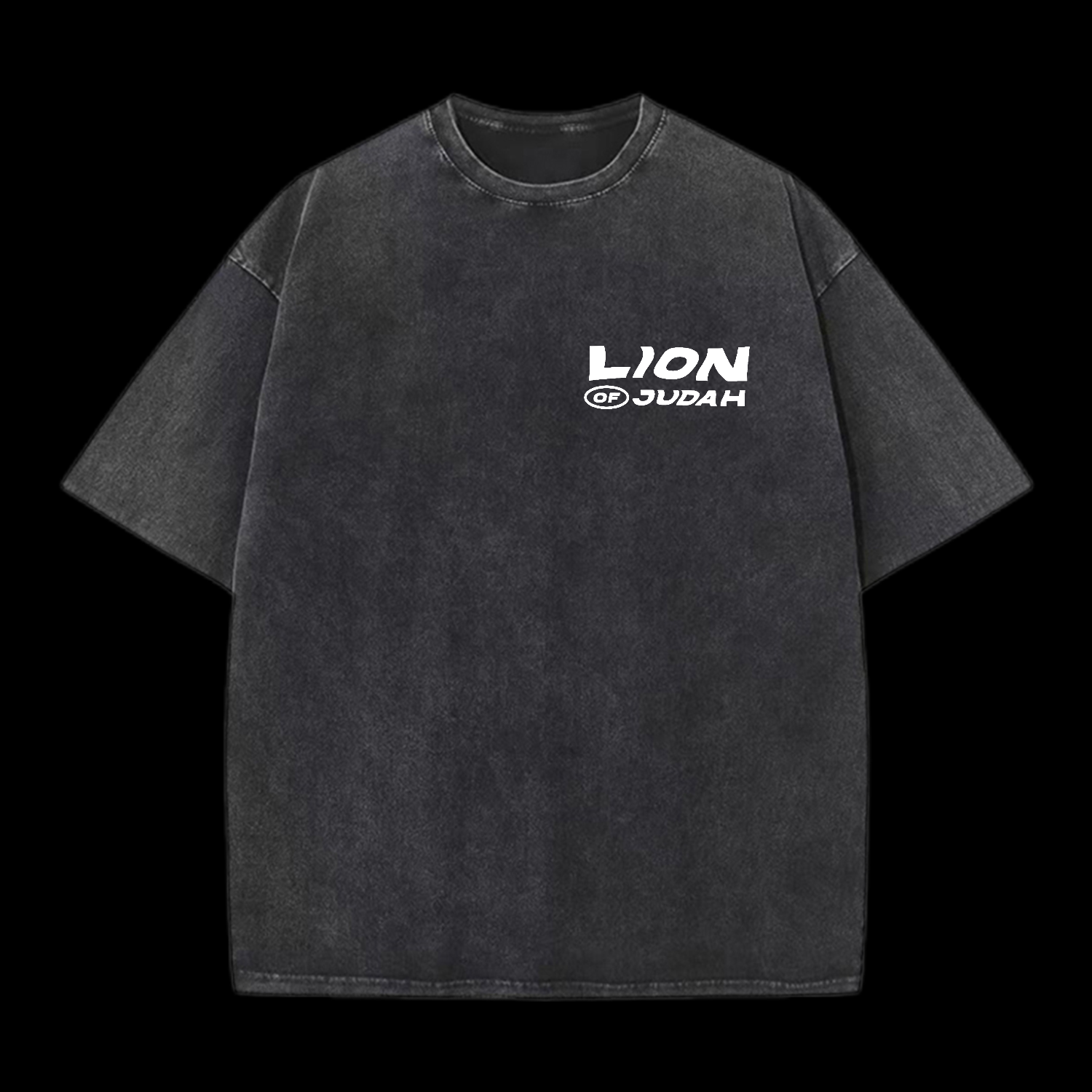 Lion Of Judah Washed T-Shirt