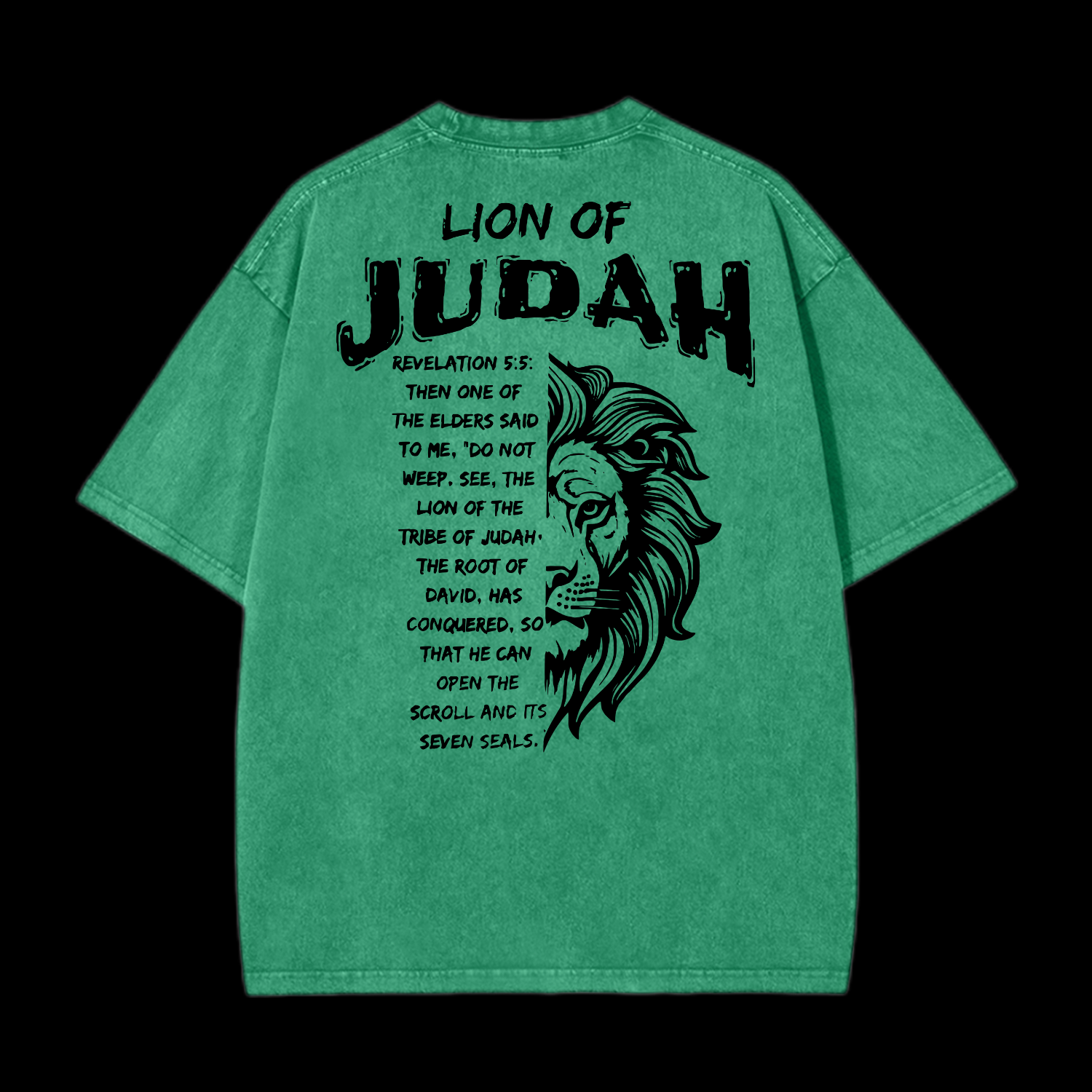 Lion Of Judah Washed T-Shirt