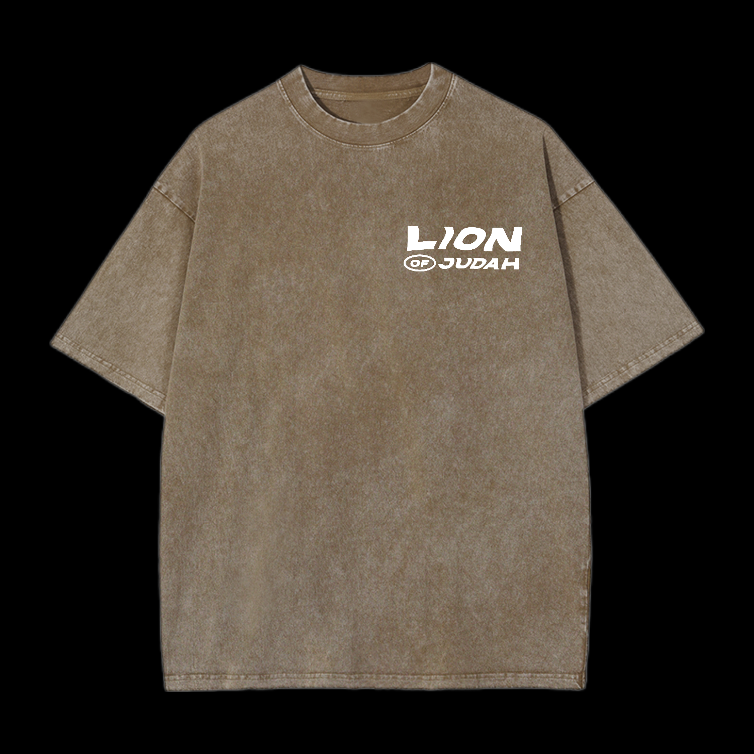 Lion Of Judah Washed T-Shirt
