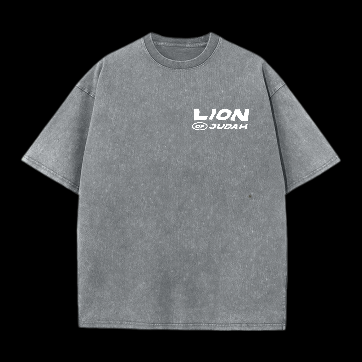 Lion Of Judah Washed T-Shirt