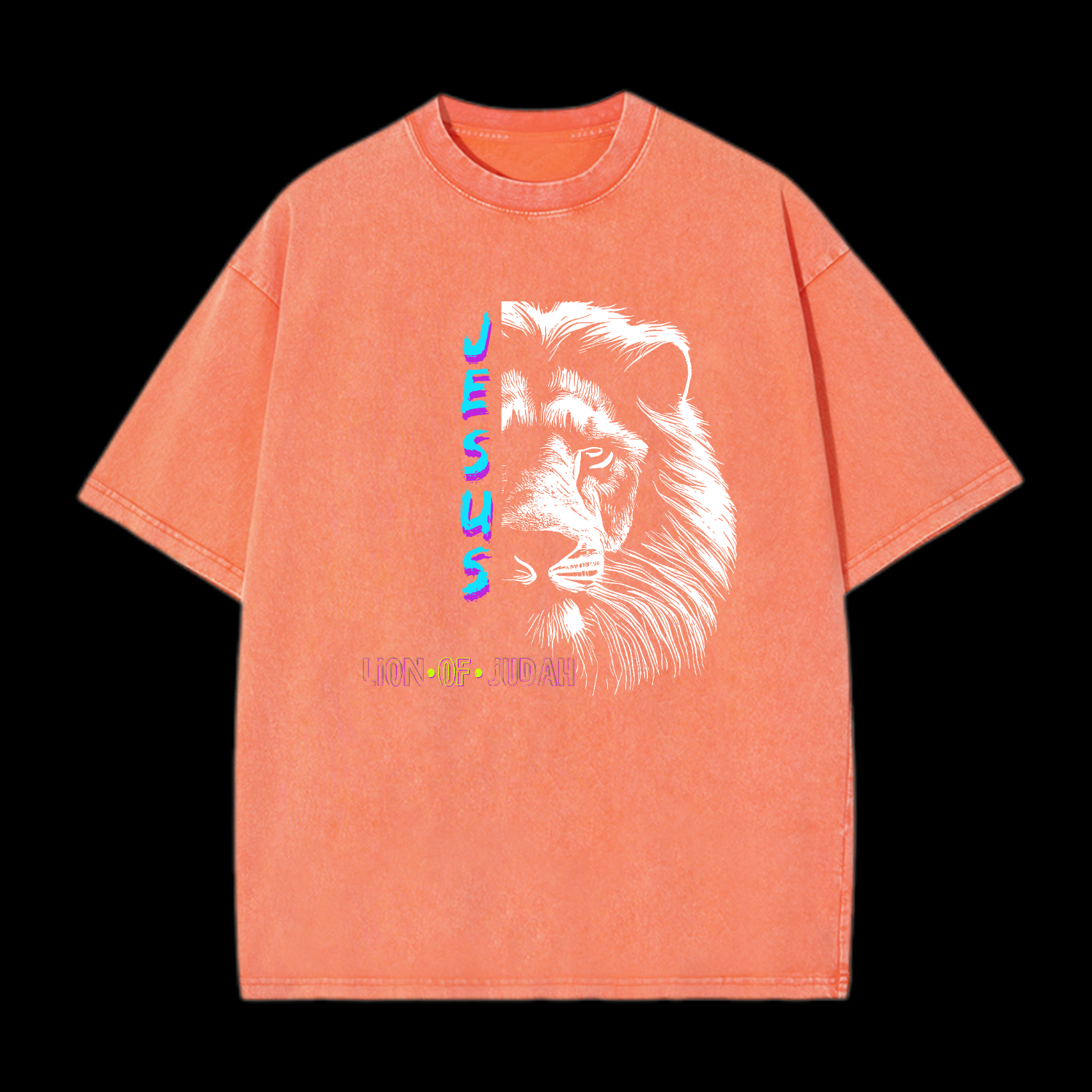 Jesus Lion Of Judah Washed T-Shirt