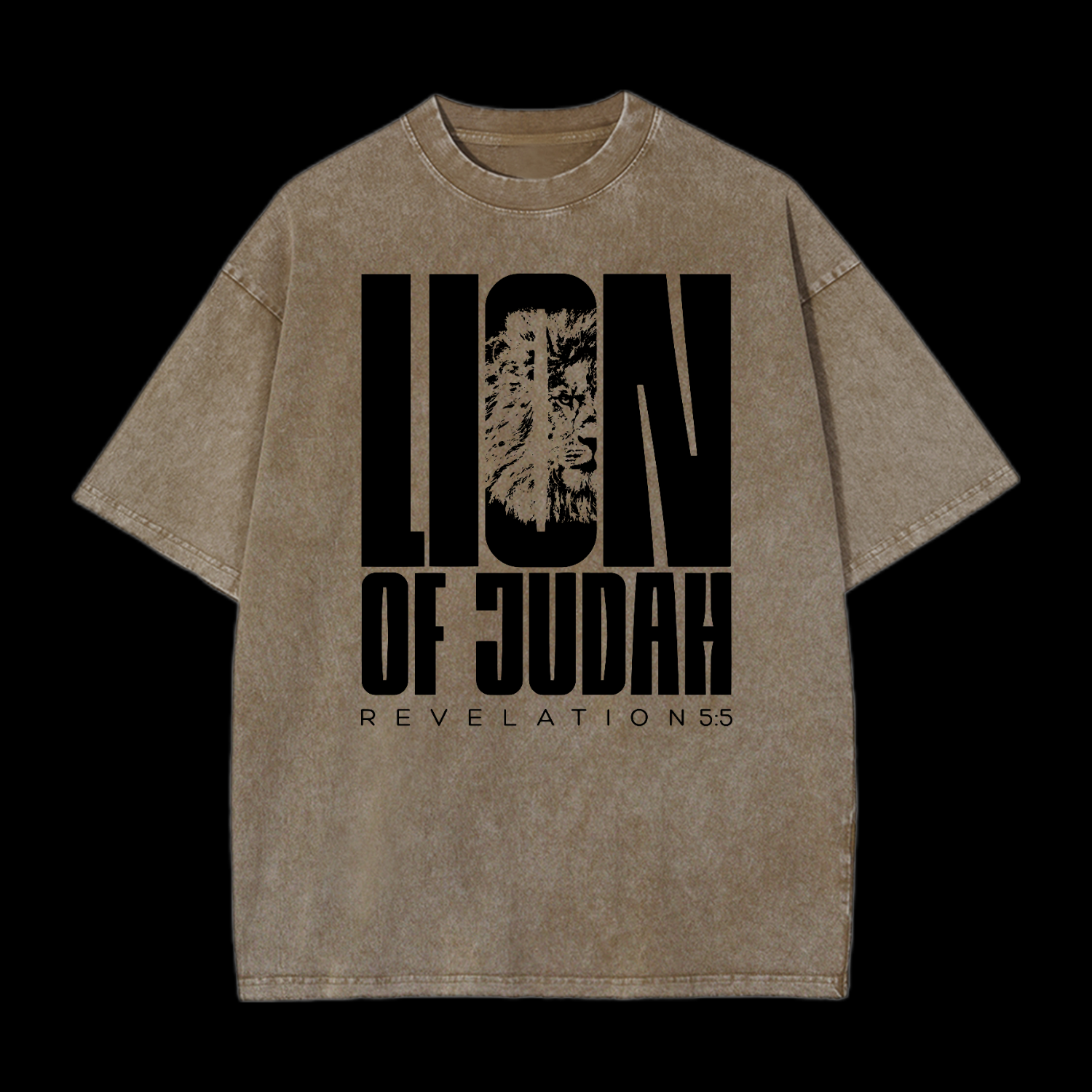 Lion Of Judah Washed T-Shirt