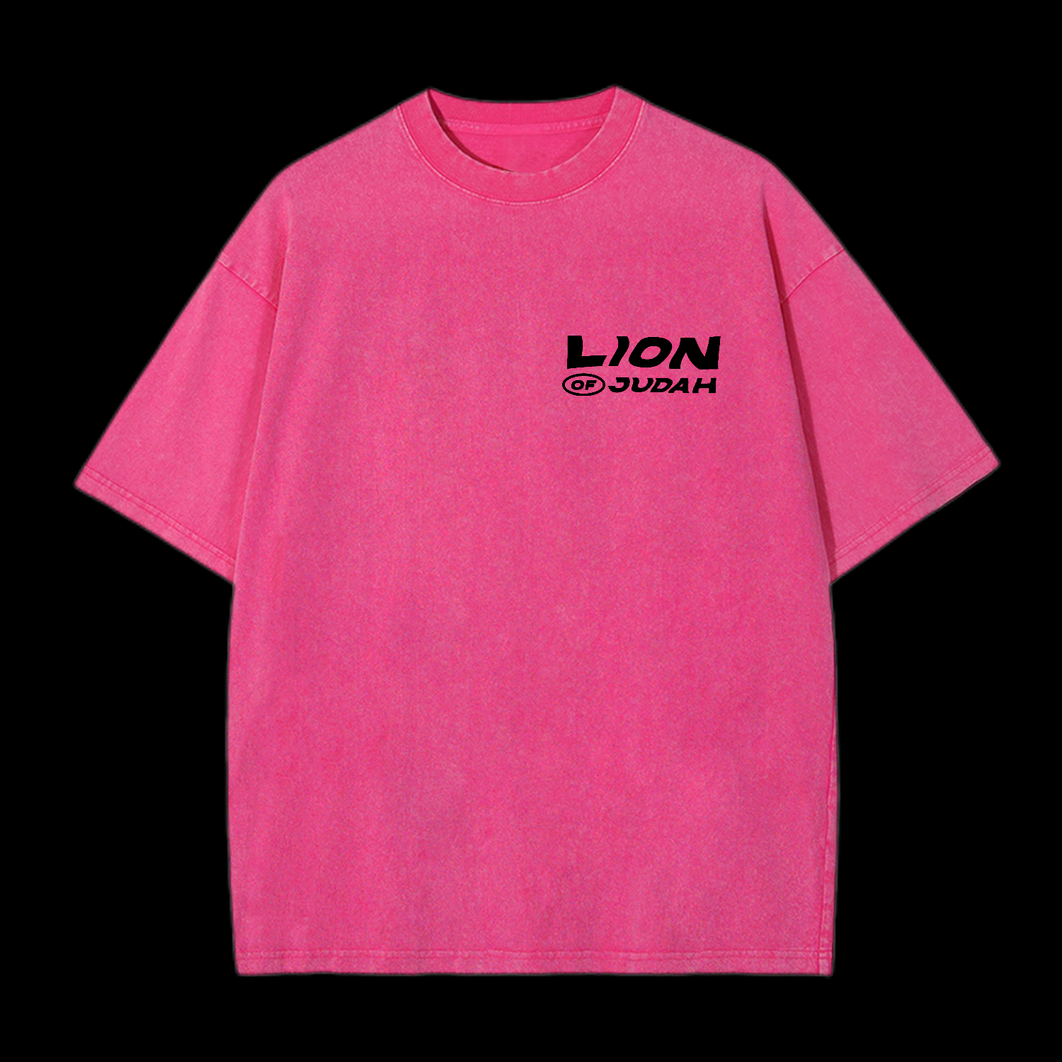 Lion Of Judah Washed T-Shirt