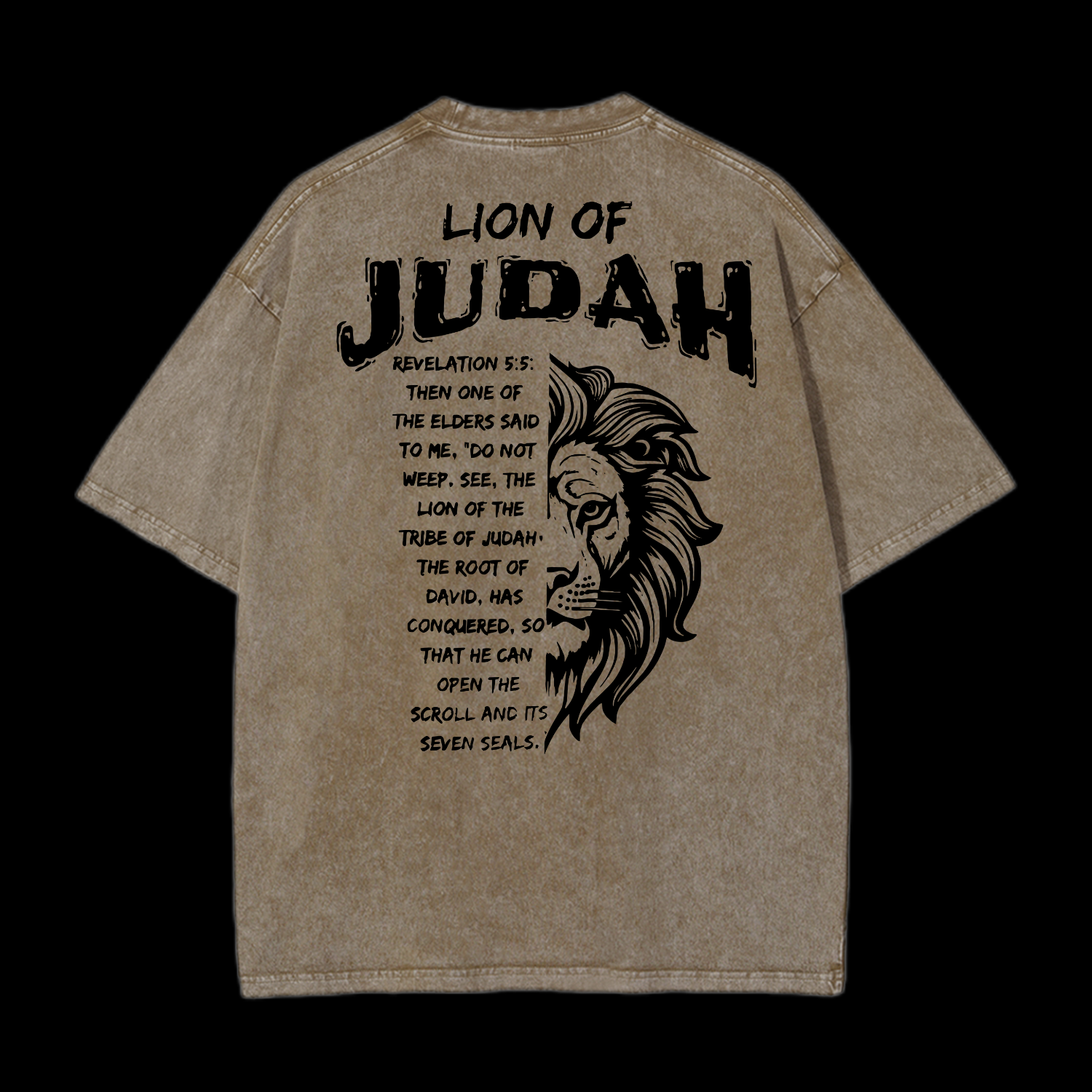 Lion Of Judah Washed T-Shirt