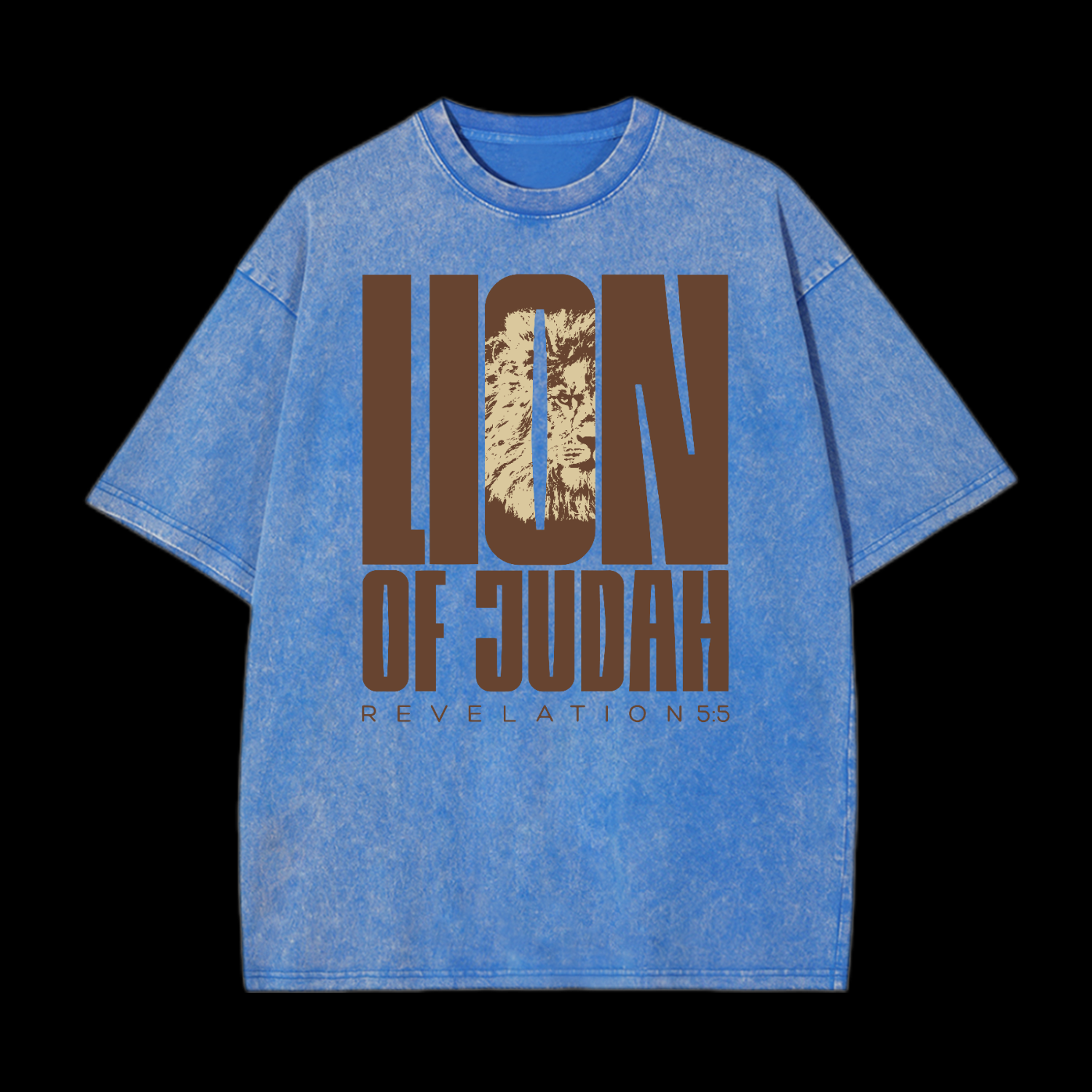 Lion Of Judah Washed T-Shirt