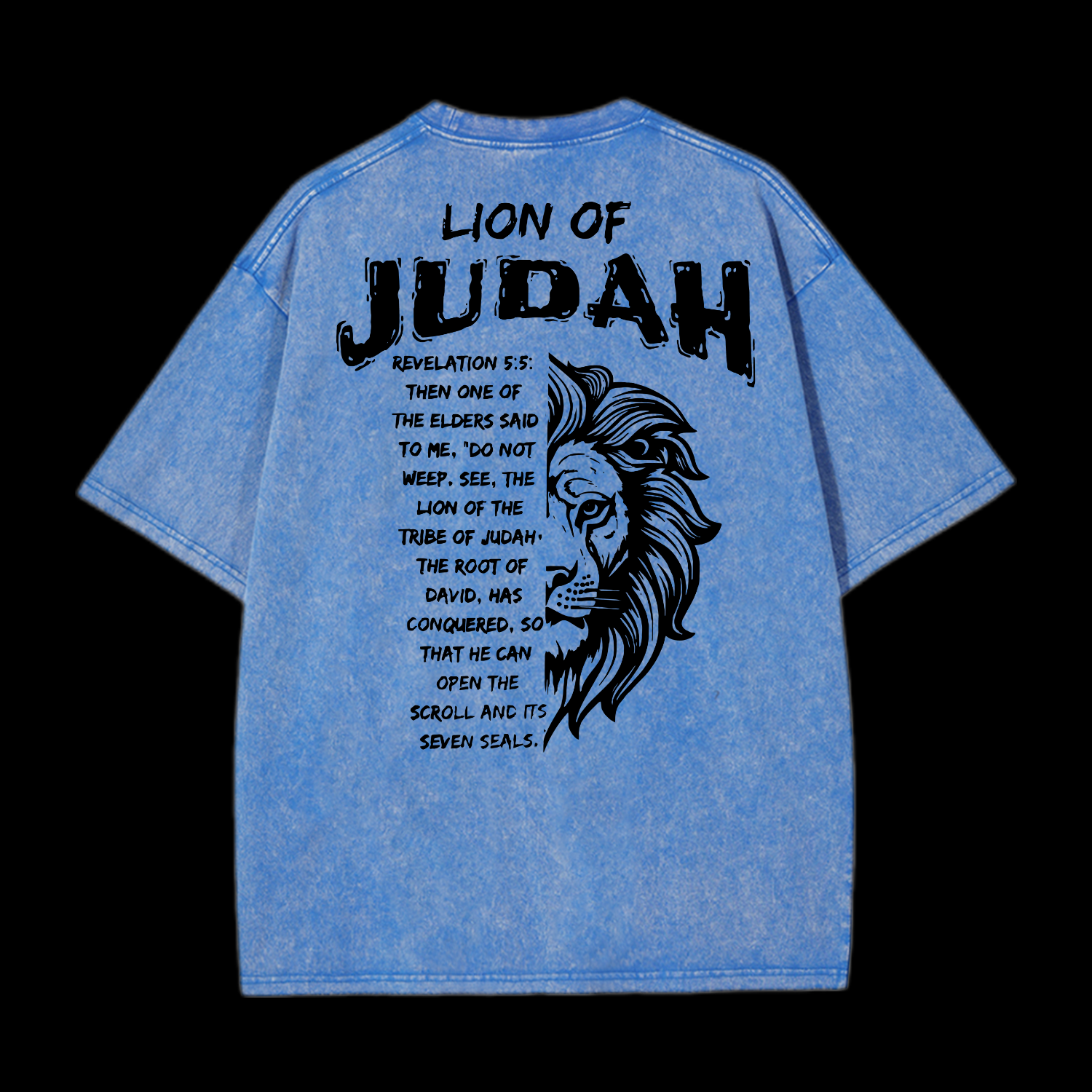 Lion Of Judah Washed T-Shirt