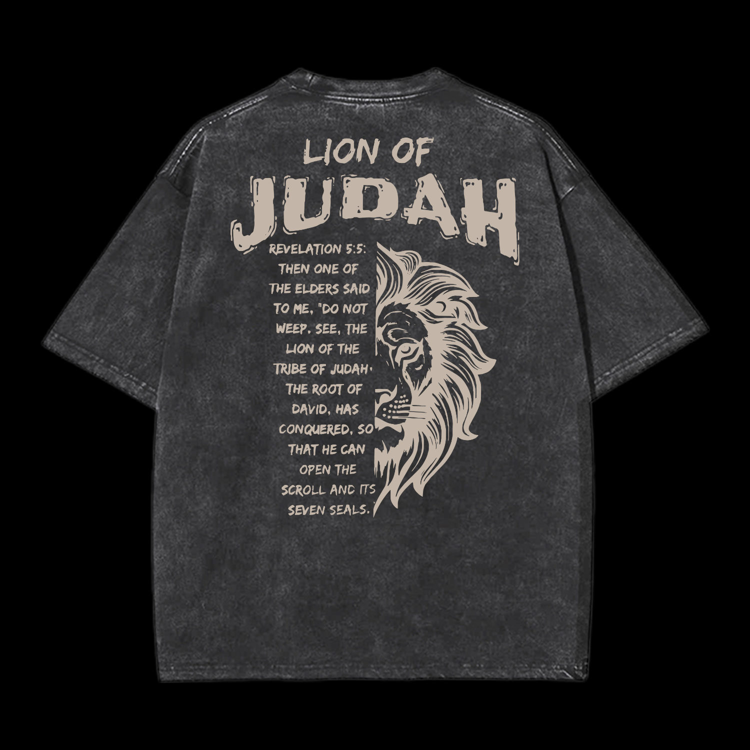 Lion Of Judah Washed T-Shirt