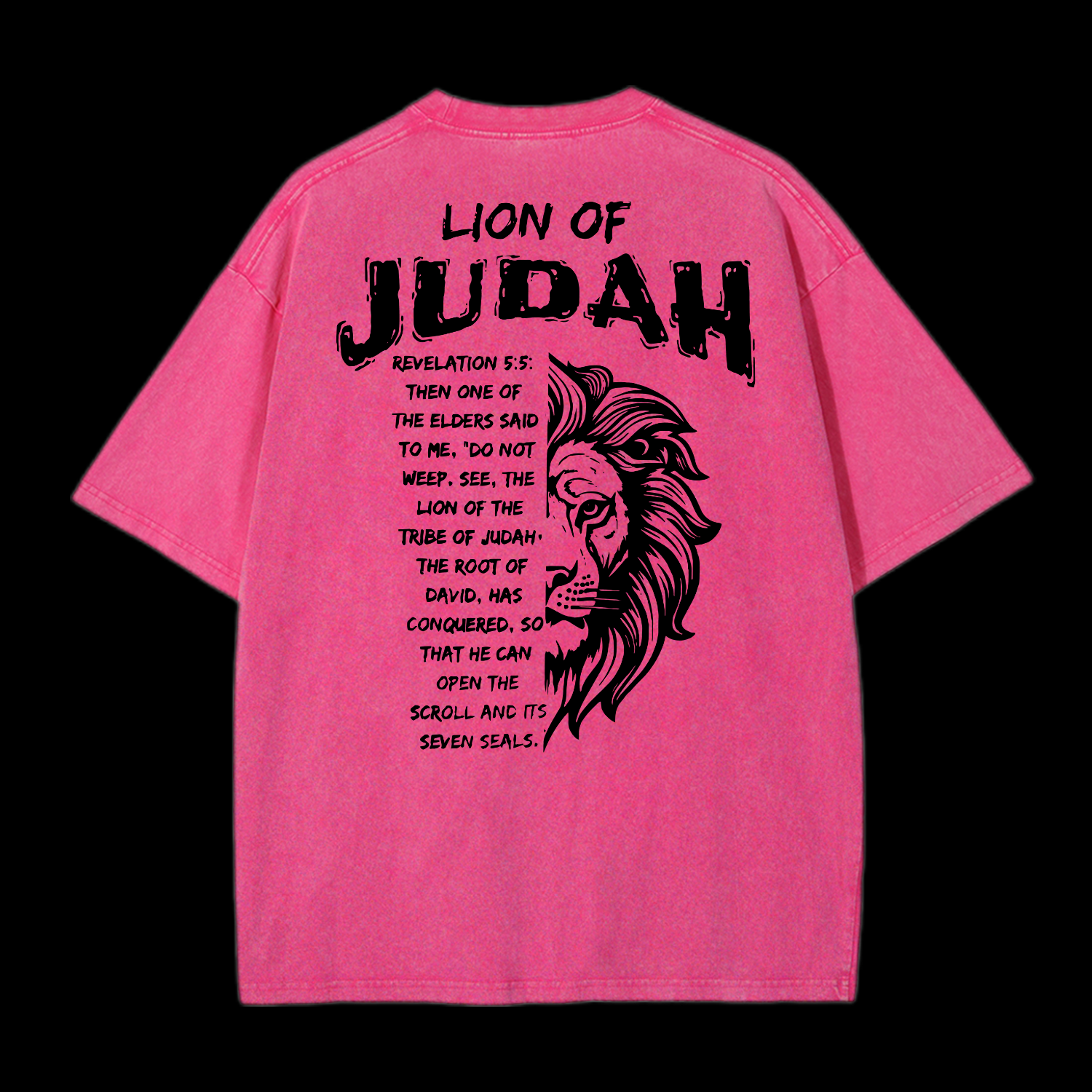 Lion Of Judah Washed T-Shirt