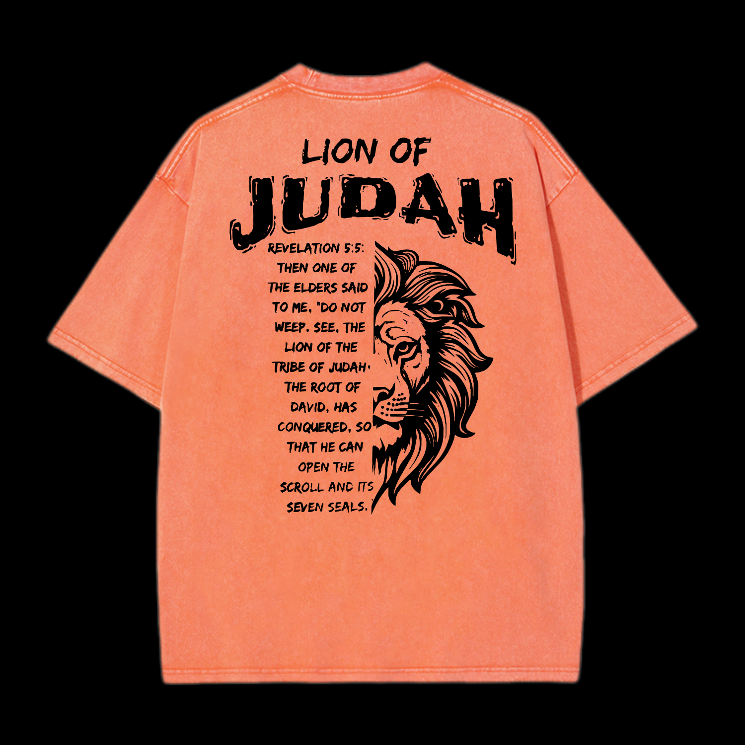 Lion Of Judah Washed T-Shirt