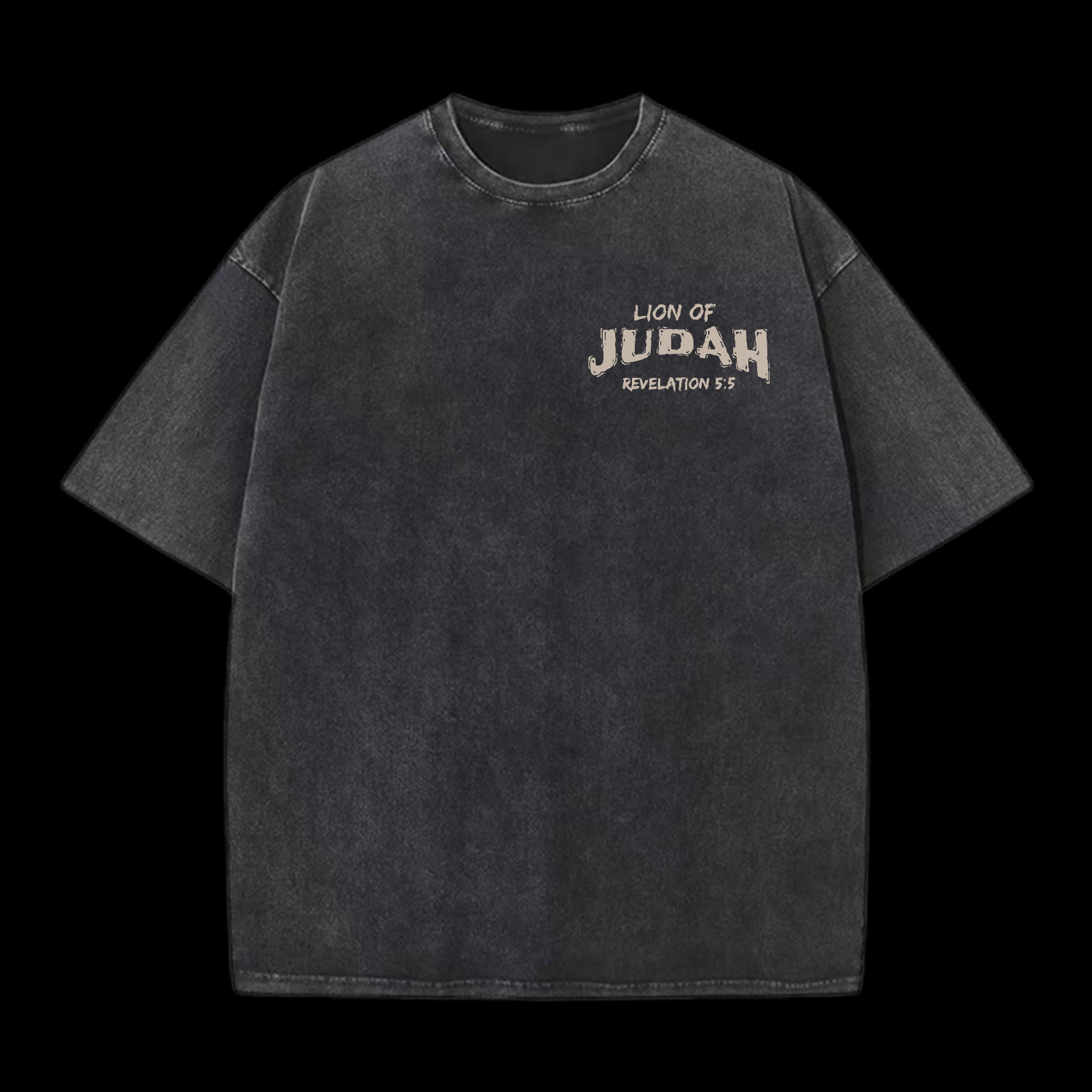Lion Of Judah Washed T-Shirt