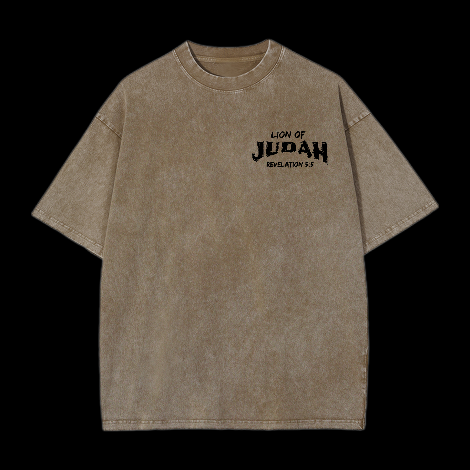 Lion Of Judah Washed T-Shirt