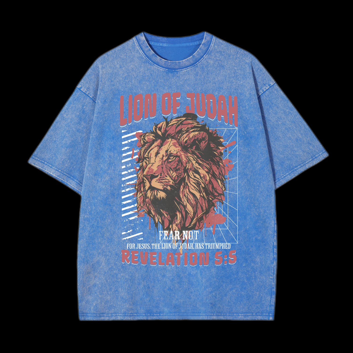 Lion Of Judah Washed T-Shirt