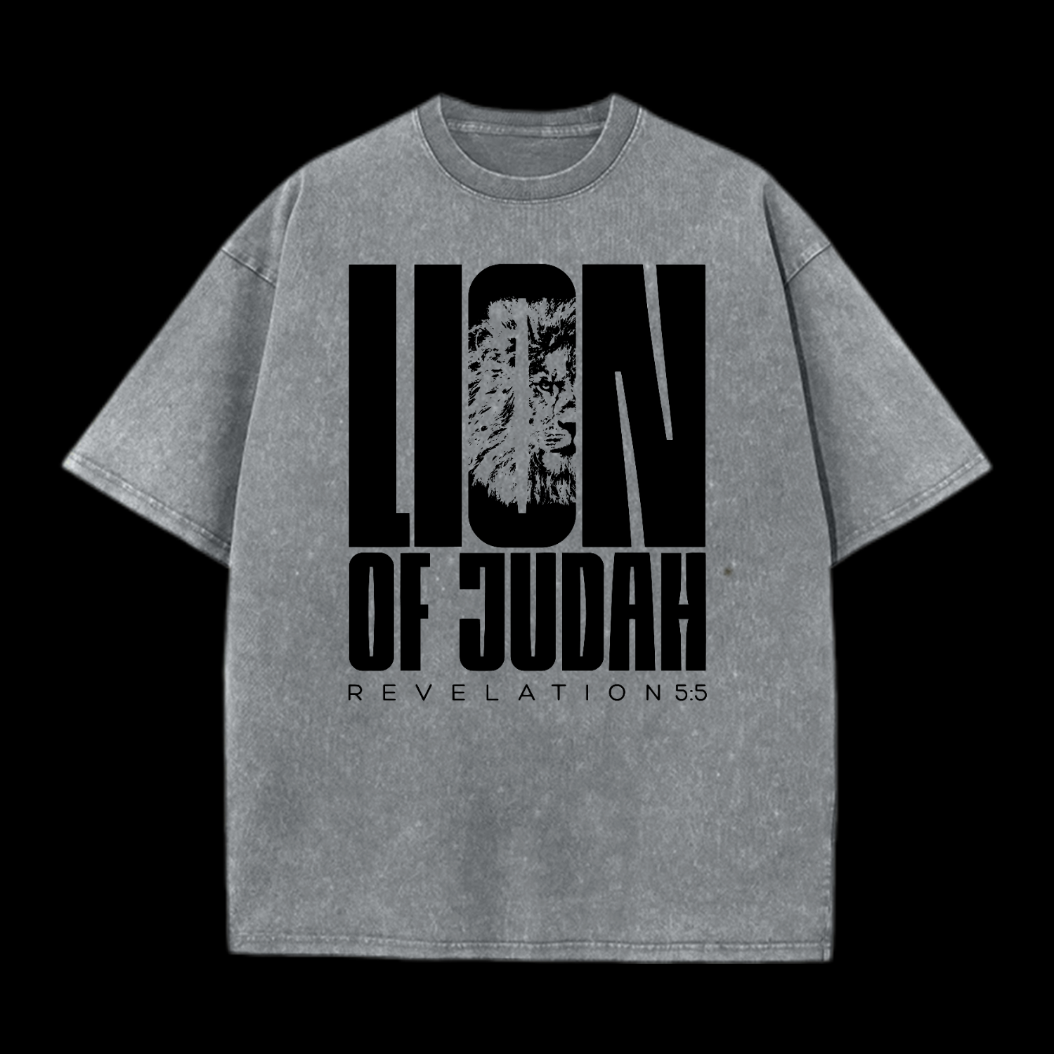 Lion Of Judah Washed T-Shirt