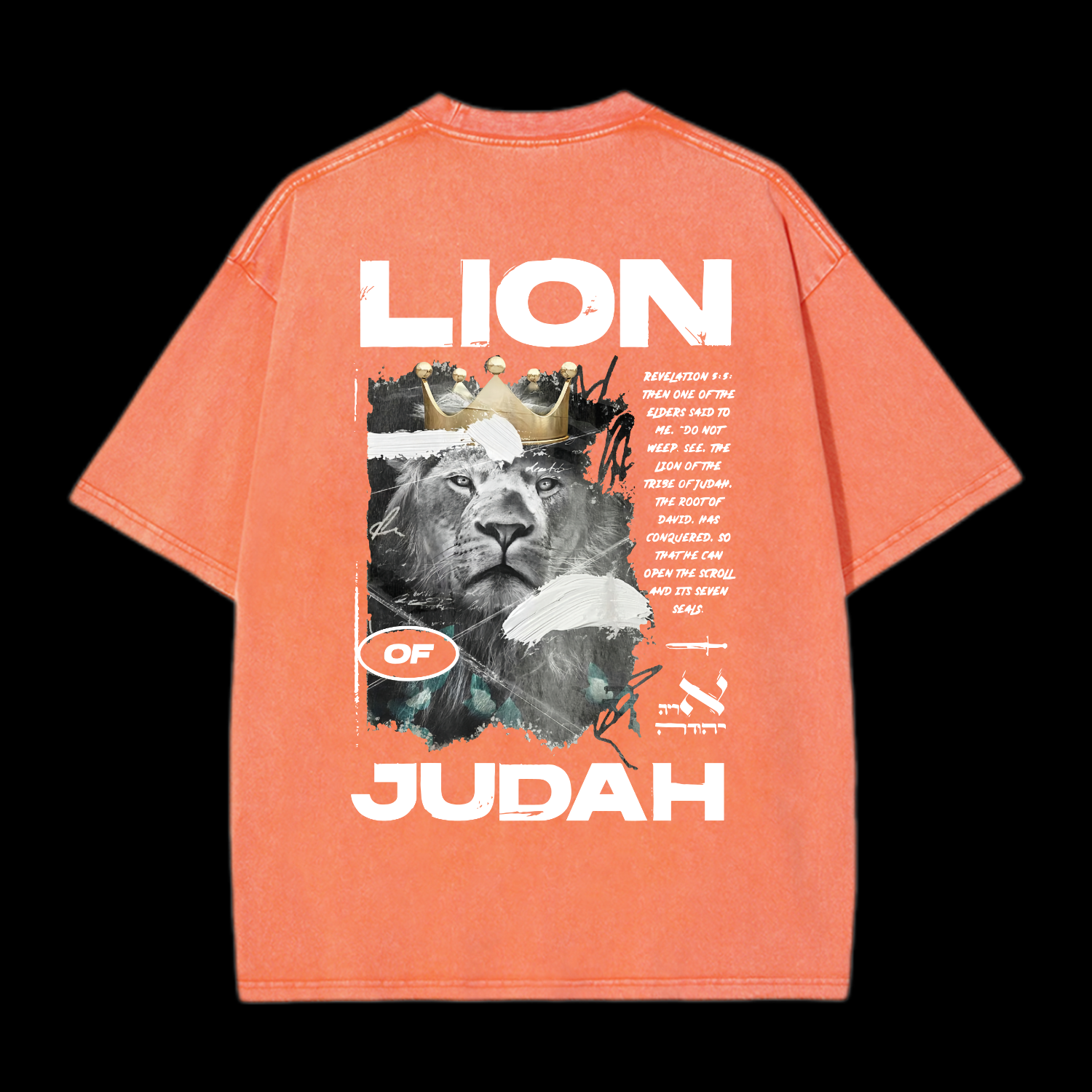Lion Of Judah Washed T-Shirt