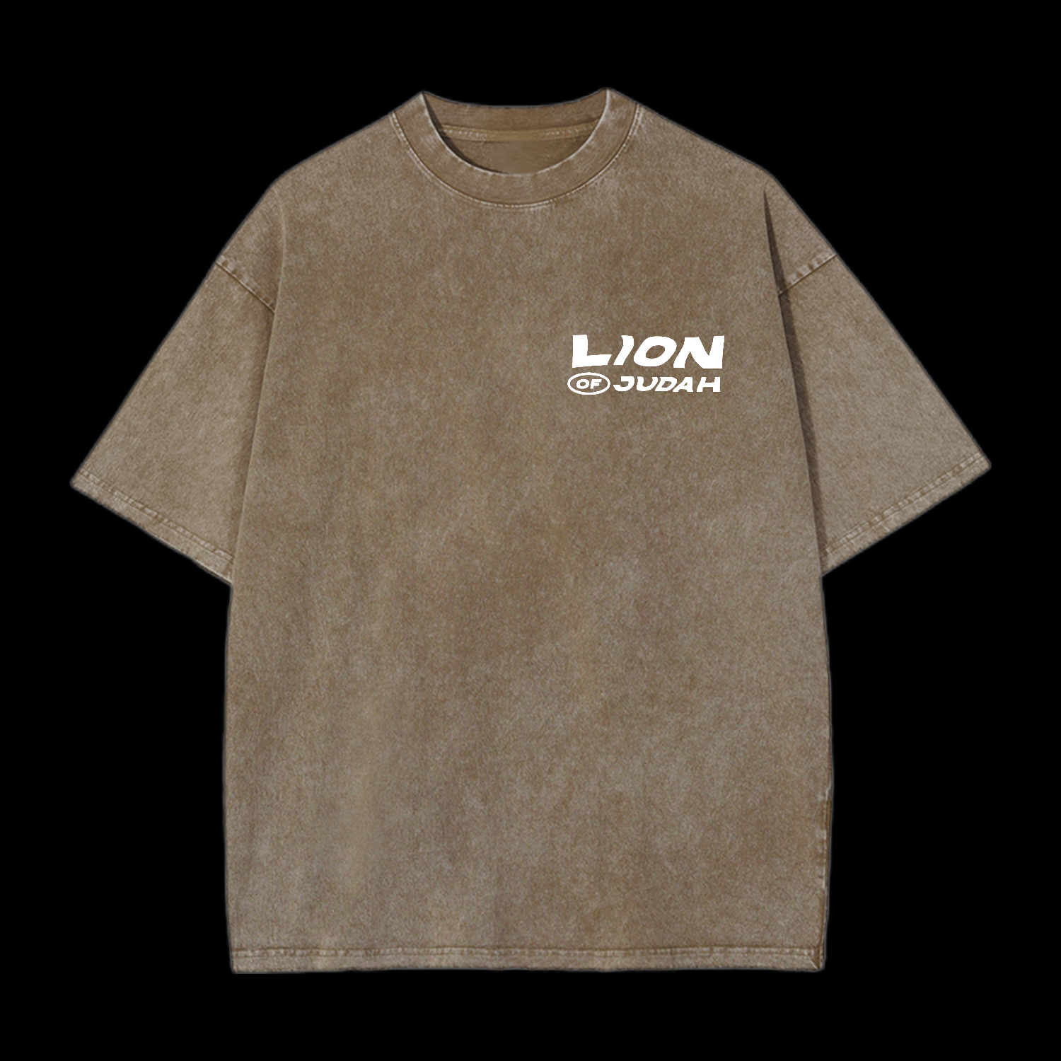 Lion Of Judah Washed T-Shirt