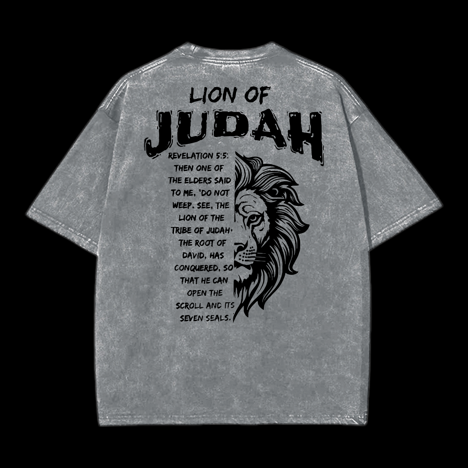 Lion Of Judah Washed T-Shirt