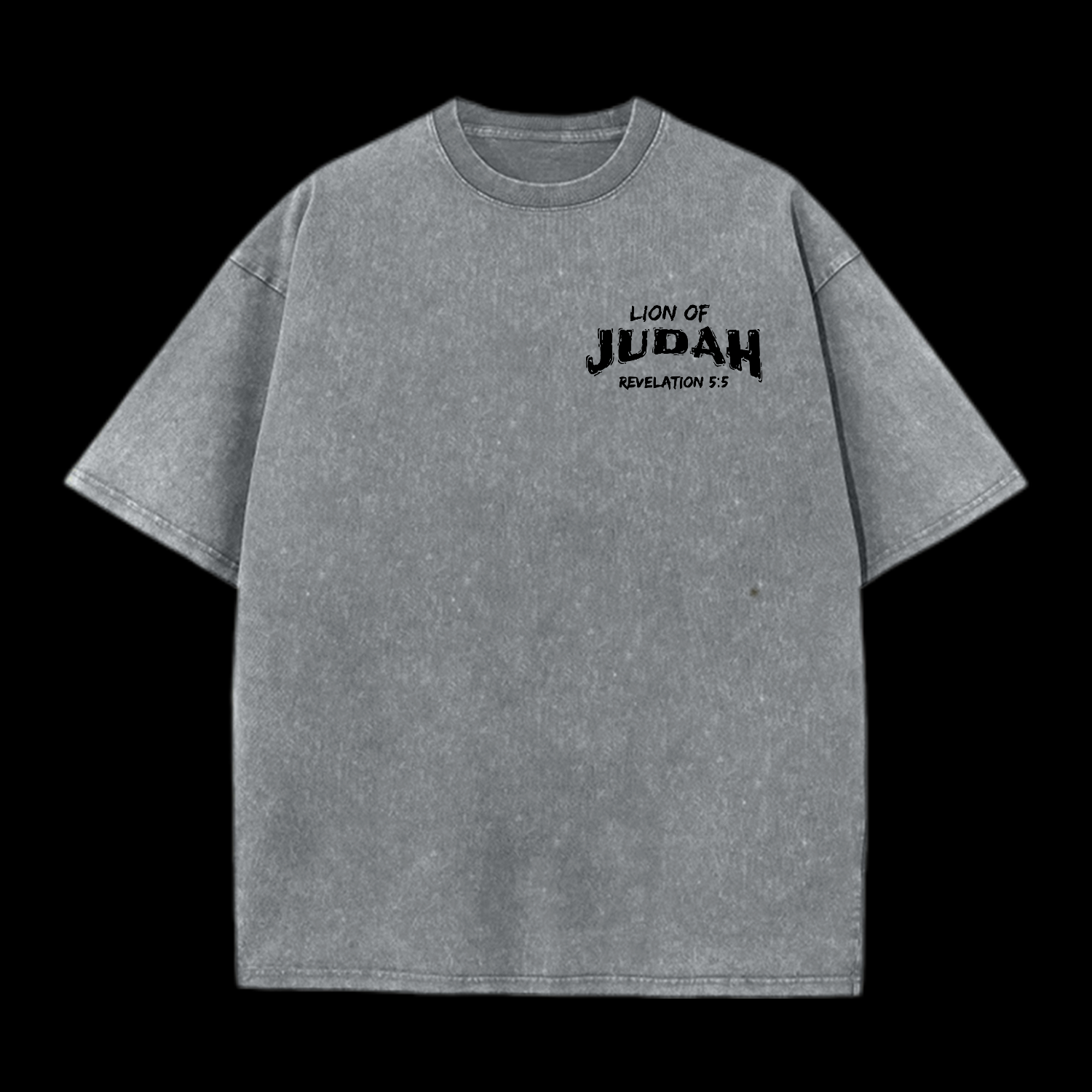 Lion Of Judah Washed T-Shirt