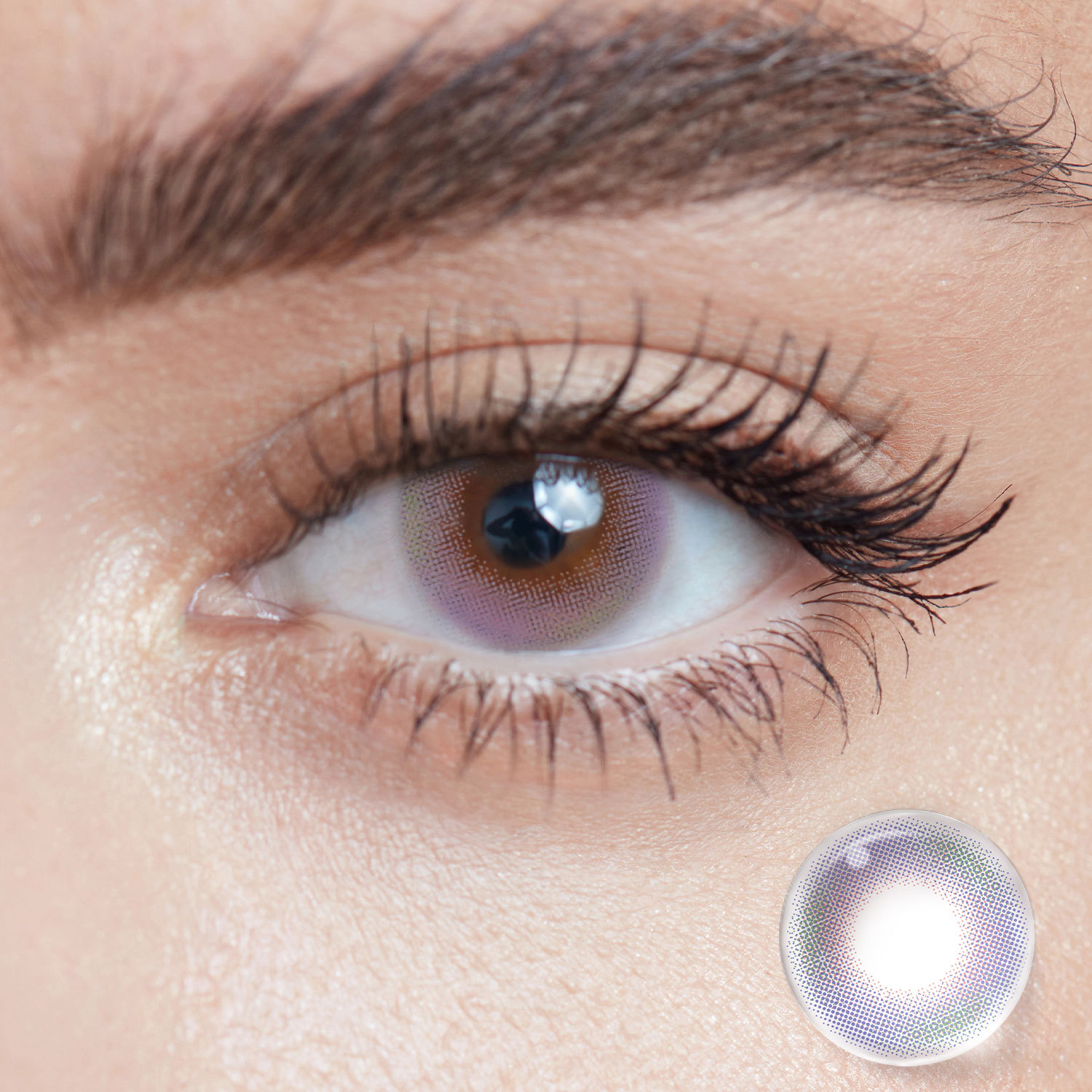 Swaying Eustoma (Eustoma Purple) | 1 Day, 10 pcs