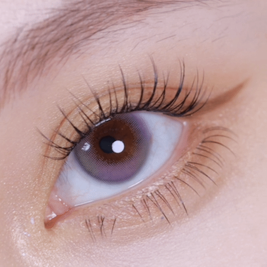 Swaying Eustoma (Eustoma Purple) | 1 Day, 10 pcs