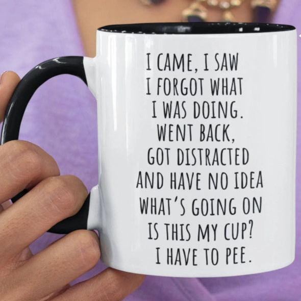 I Came I Saw I Forgot What I Was Doing Mug