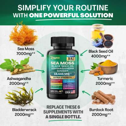 Zoyava™ Magic Moss 16-in-1 Super Blend