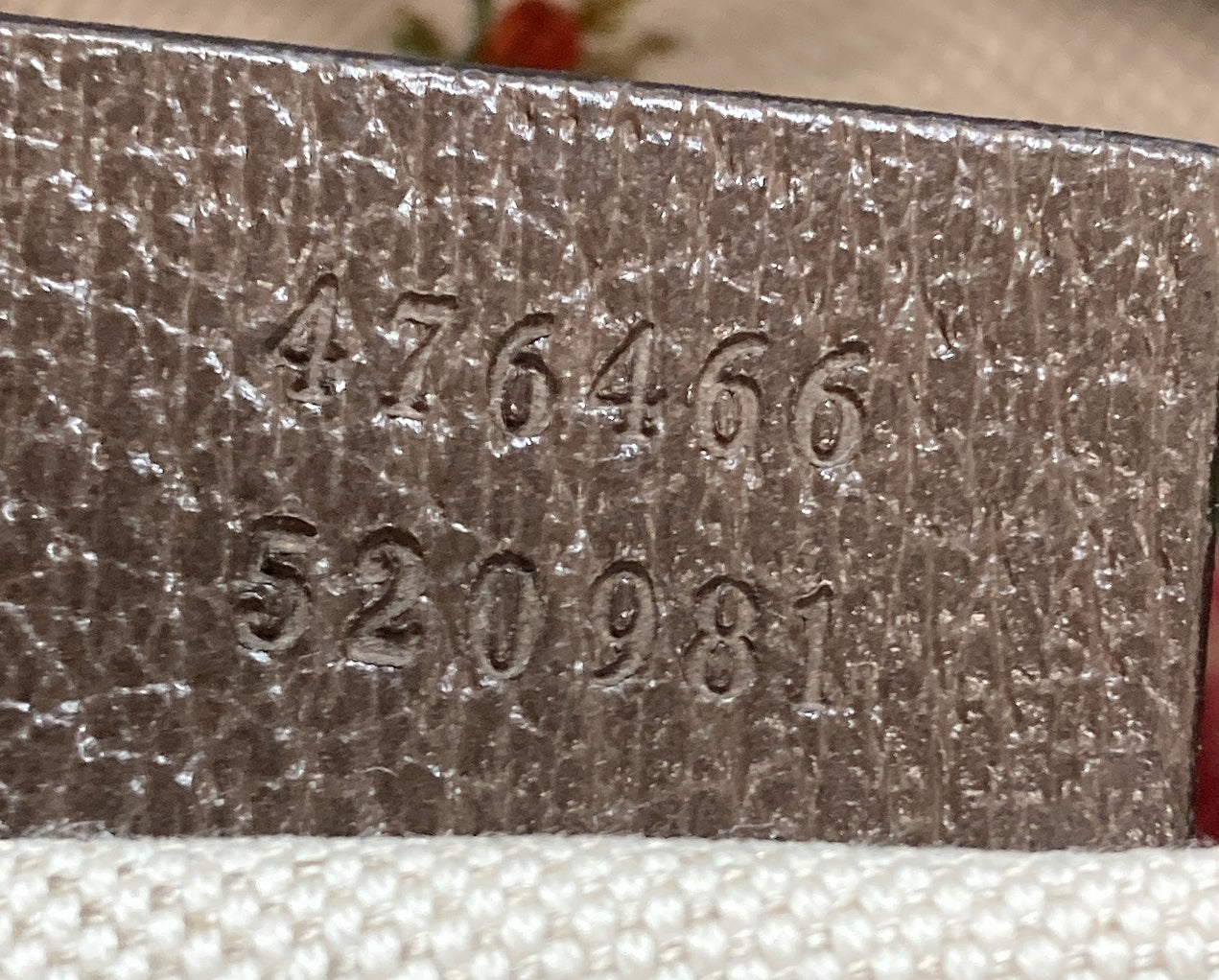 Neo Vintage Camera Messenger Bag GG Coated Canvas