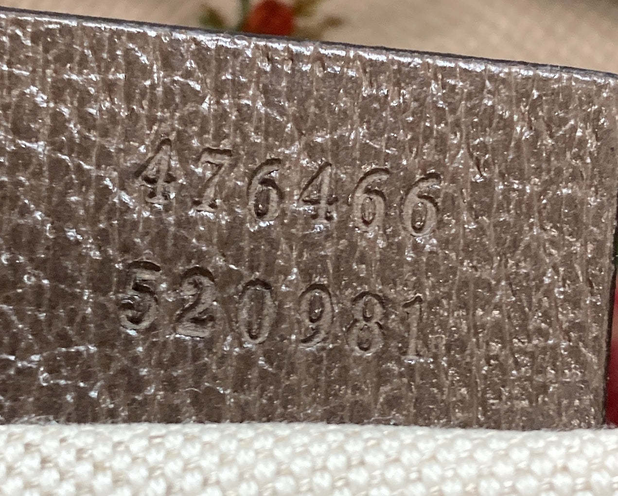 Neo Vintage Camera Messenger Bag GG Coated Canvas