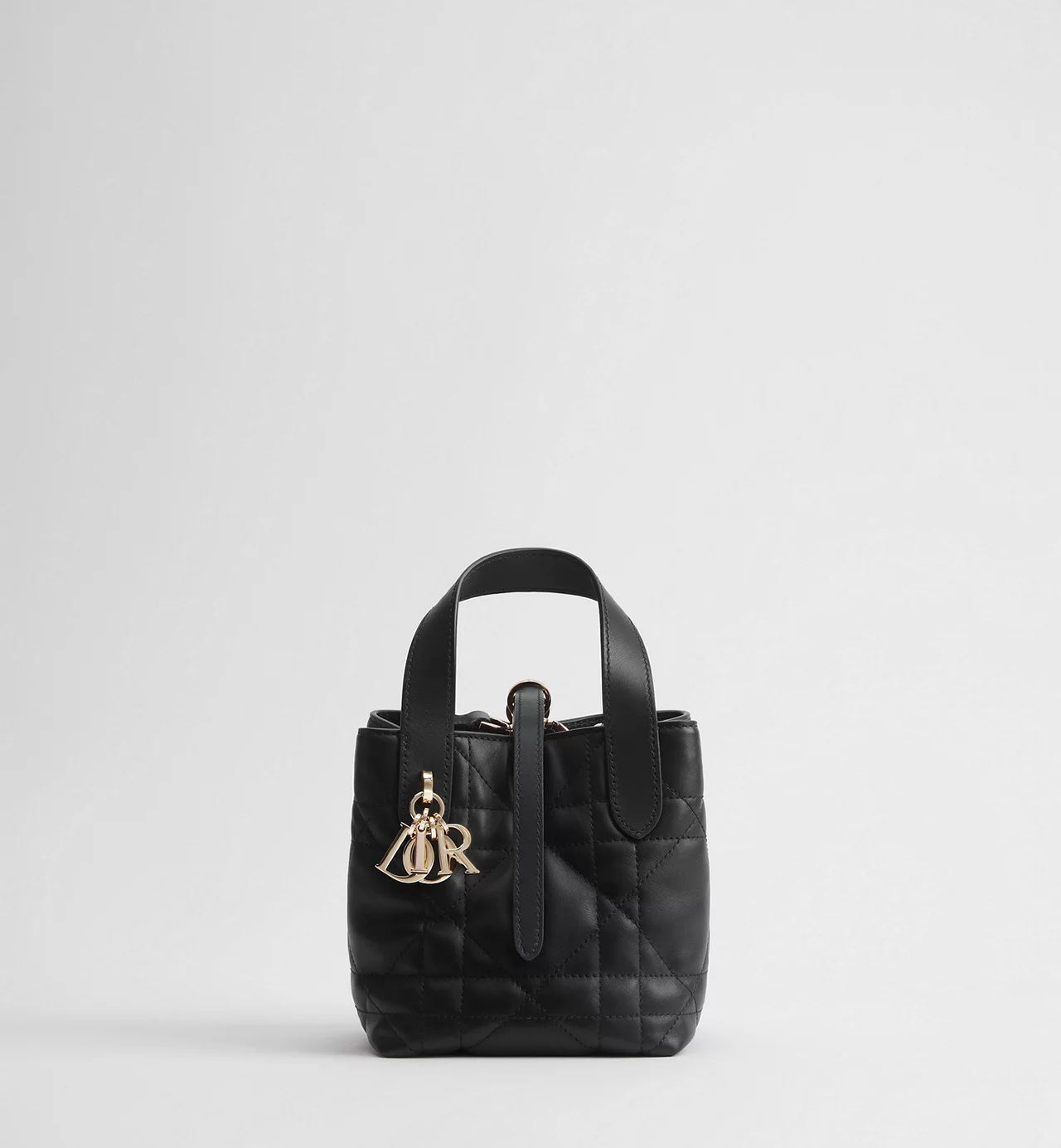 Toujours Vertical Nano Tote Bag