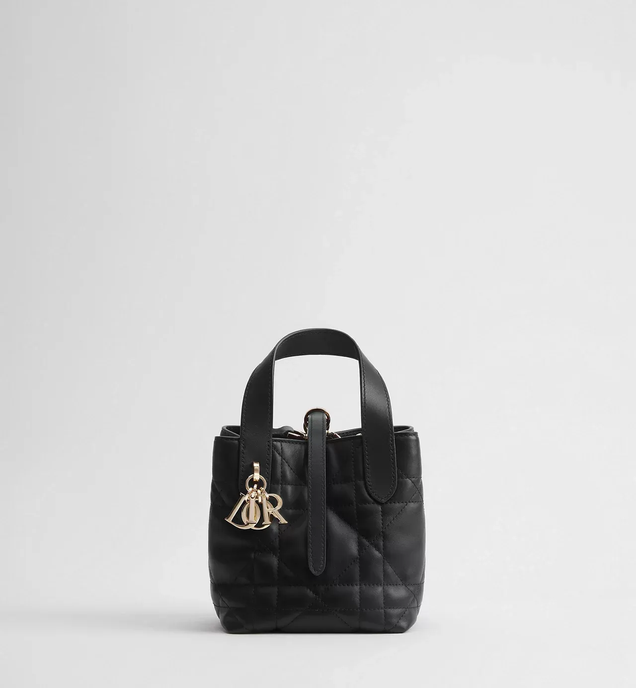 Toujours Vertical Nano Tote Bag