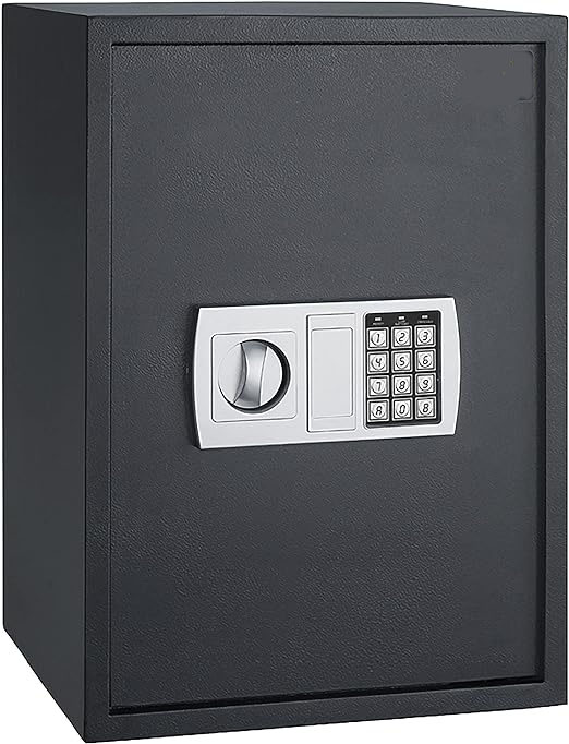 Hayeswheel Large Electronic Digital Safe Jewelry Home Secure-