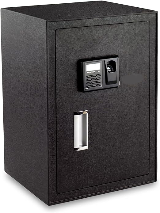 hayeswheel Large Biometric Safe Fingerprint Safe