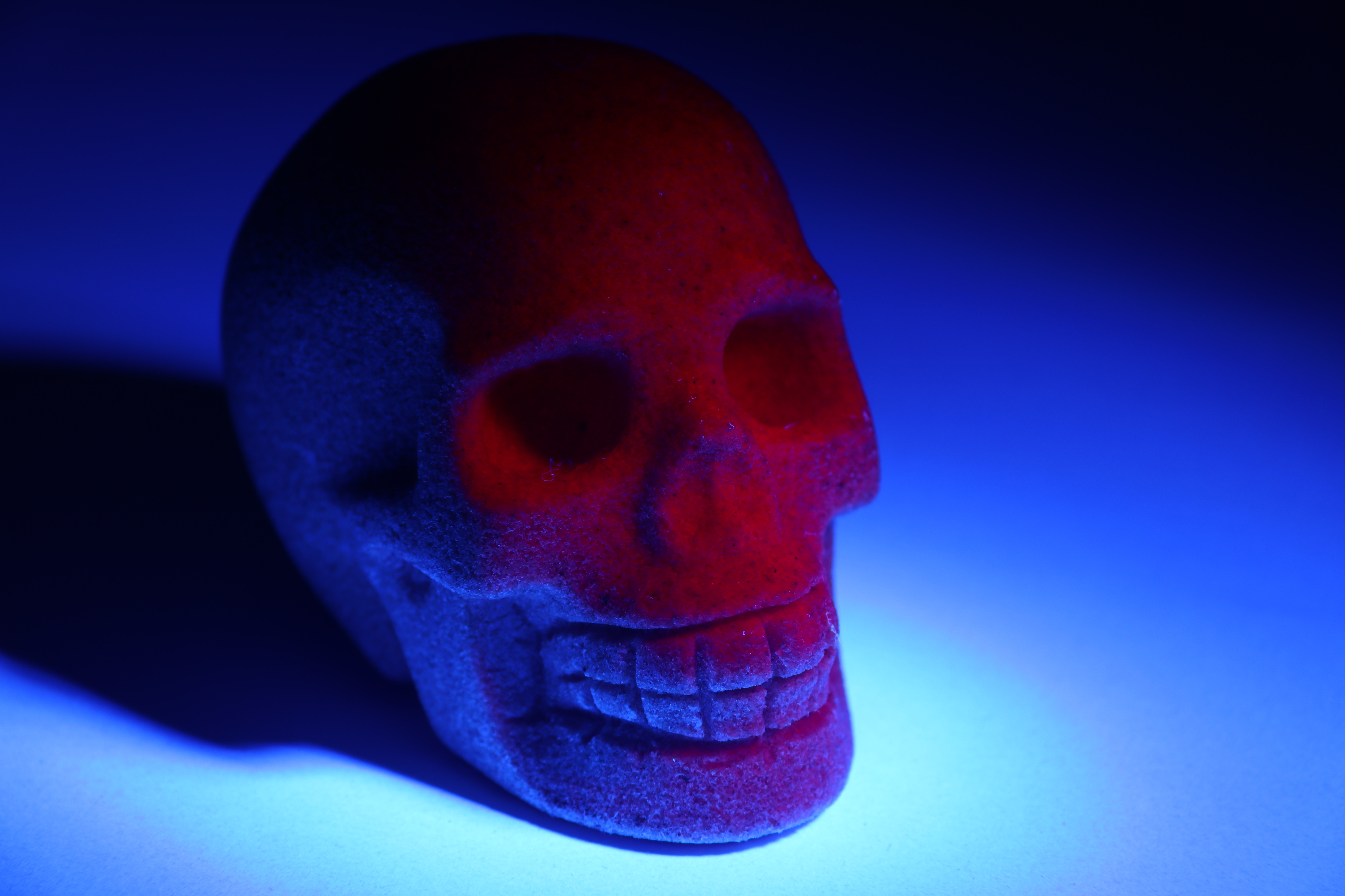 Ruby skull