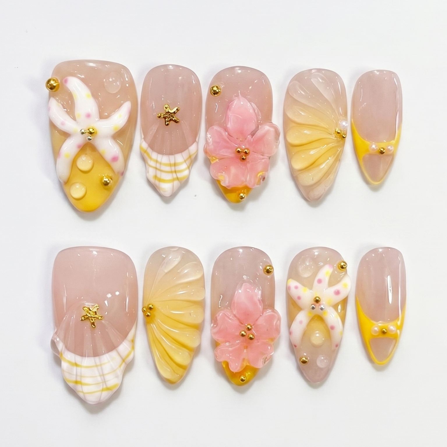 Sunset Shell - Medium