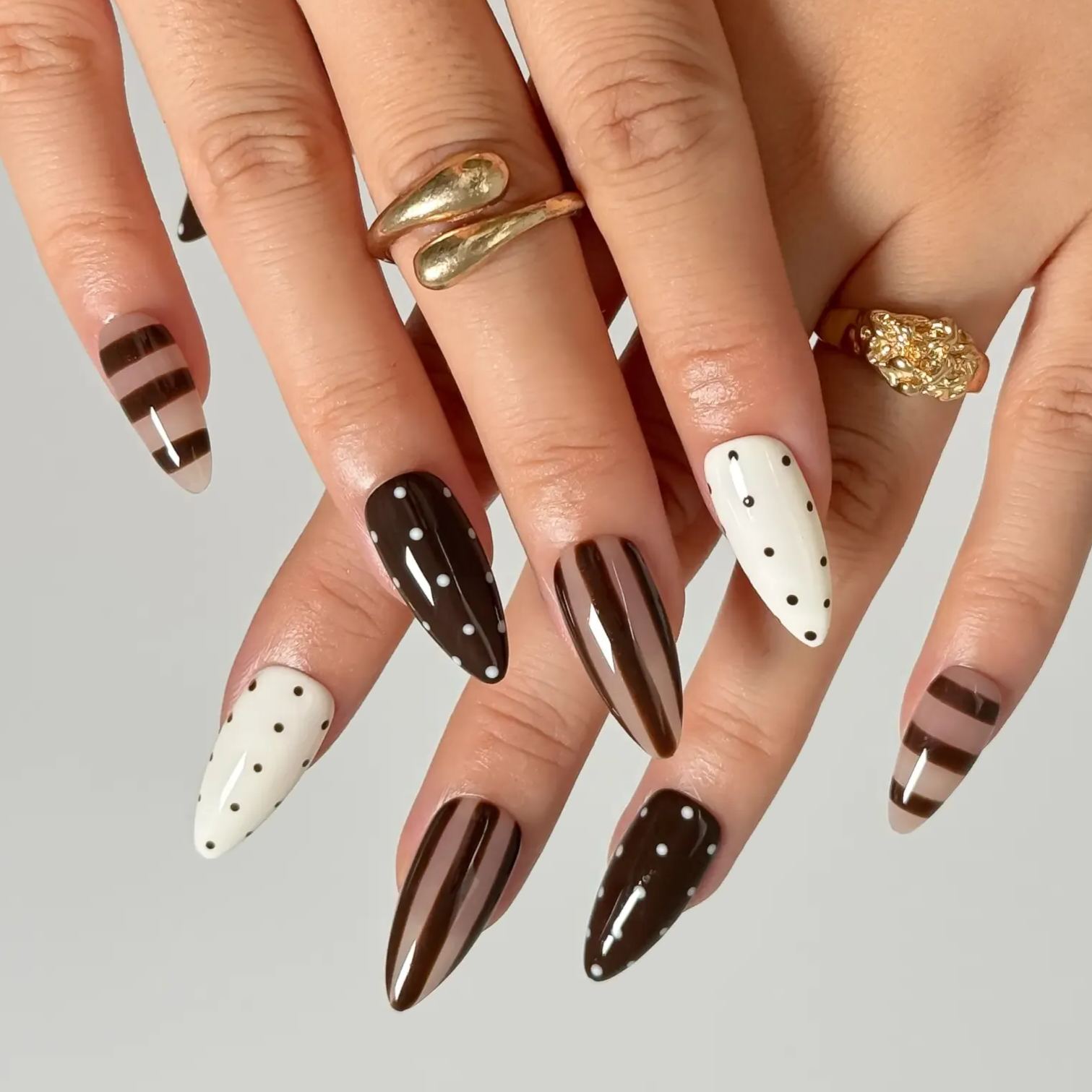 Cocoa Whimsy