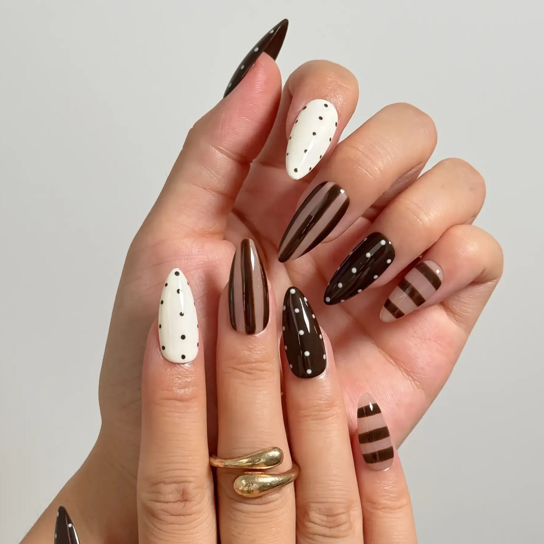 Cocoa Whimsy