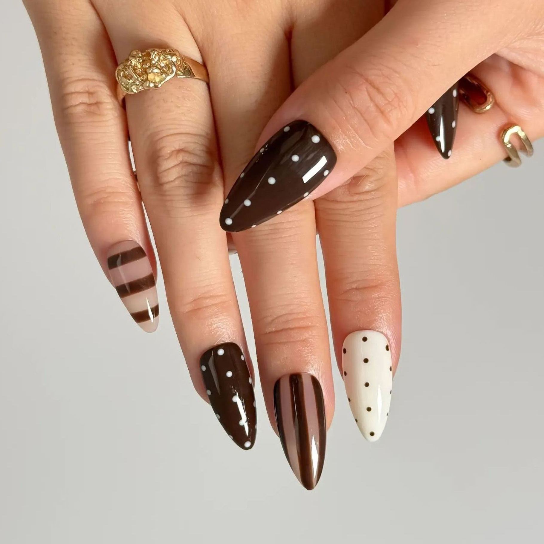 Cocoa Whimsy