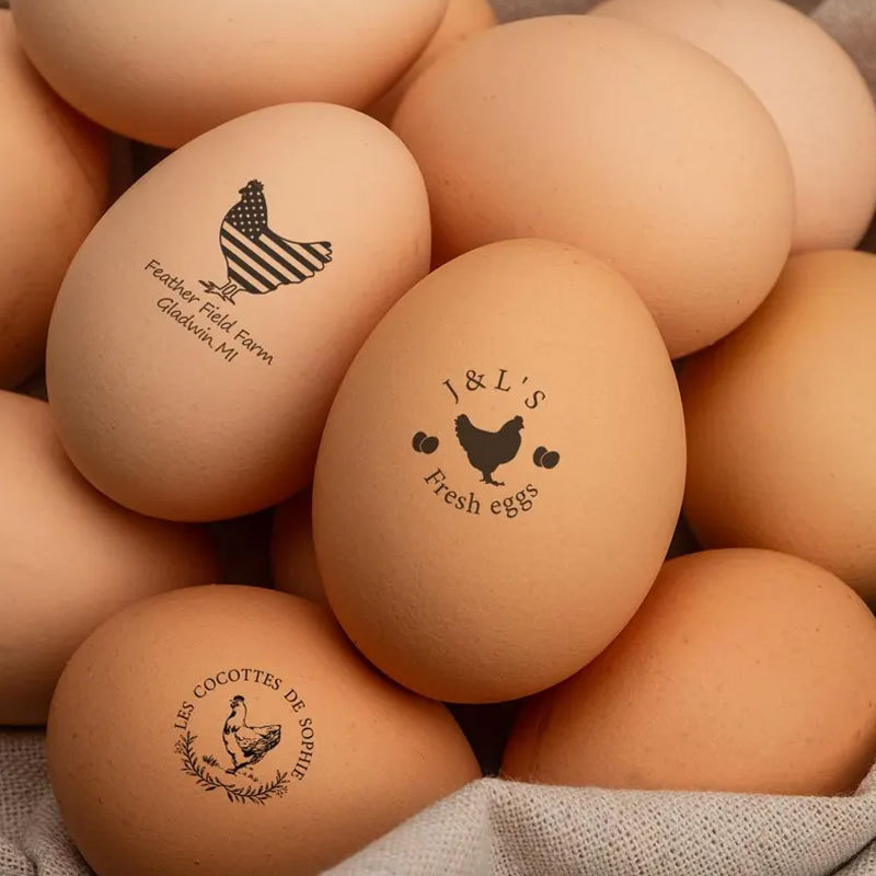 Custom Egg Carton Stamp Engraved Farm Egg Stamp