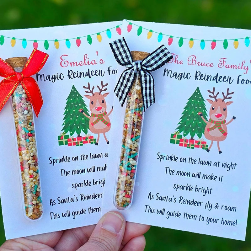 Magic Reindeer Food Christmas Eve Gift