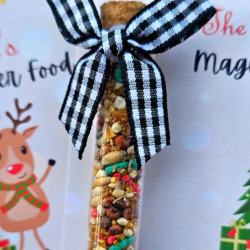 Magic Reindeer Food Christmas Eve Gift